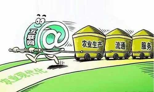 农业农村部：探索将更多农业附属设施纳入保险范围