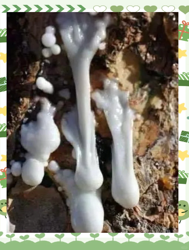 阿曼推出“阿曼出口”计划