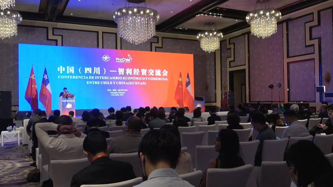 刘侃总领事出席中国(南京)-意大利中小企业合作交流会