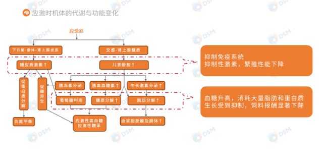 推进非洲区域一体化：泛非洲支付和结算系统（PAPSS）