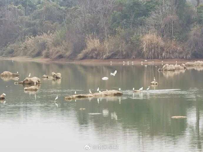 立方风控鸟·早报(5月8日)