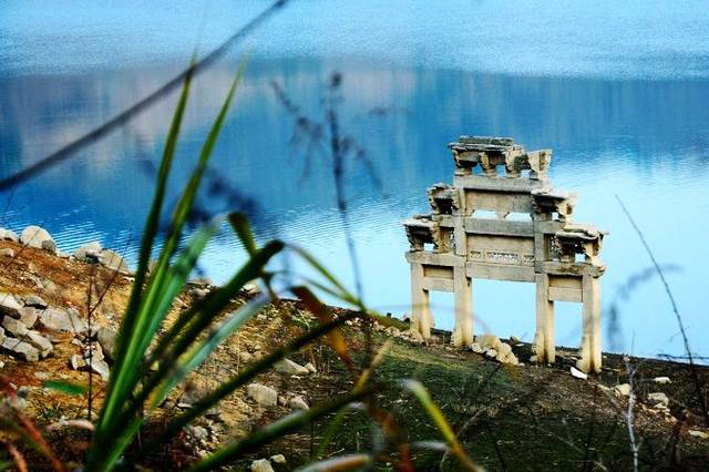 远古发现丨一张脑部CT,揭开4亿年前古椎鱼的身世之谜