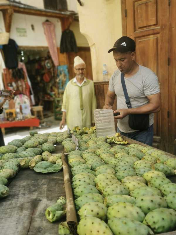 摩洛哥欧盟2024年双边贸易额创历史新高