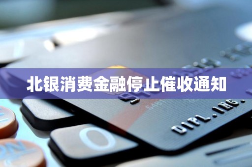 北银消费金融2024年净利1.53亿