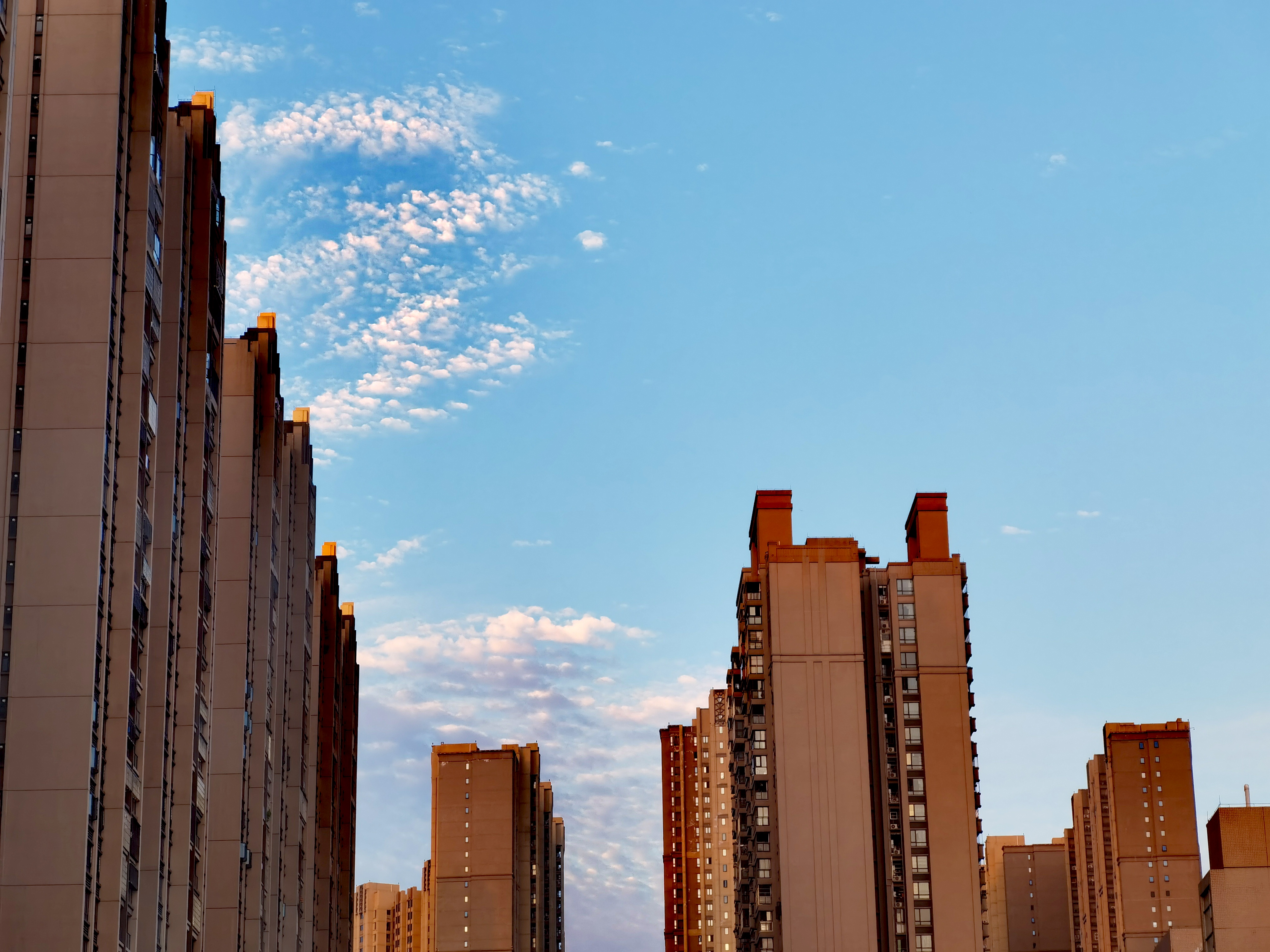 海大集团获得发明专利授权：“一种提高斑点叉尾�t出肉率的饲料”