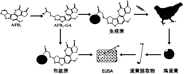 润禾材料获得发明专利授权：“抗菌吸湿柔软剂及其制备方法”