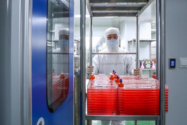 顺灏股份：云南绿新生物药业有限公司在严格遵守国家相关法律法规的基础上做好技术研发及技术储备