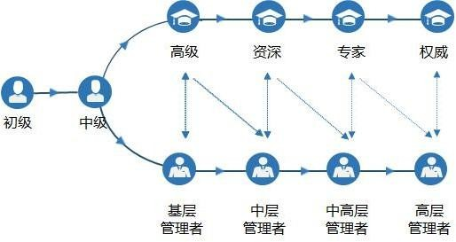 诺瓦星云：公司聚焦于视频显控核心算法研究及应用