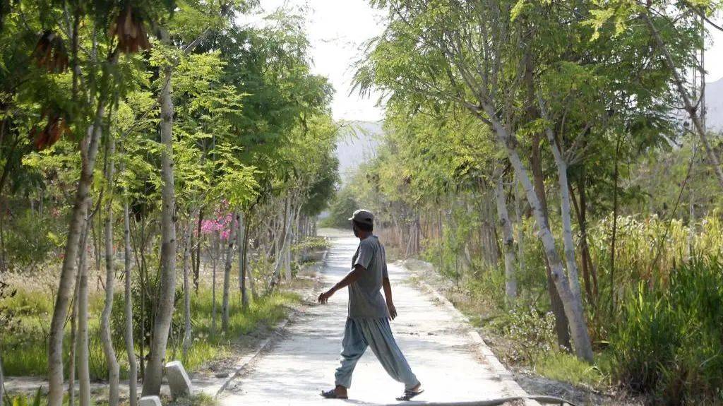 本财年前9个月侨汇达1.19万亿卢比