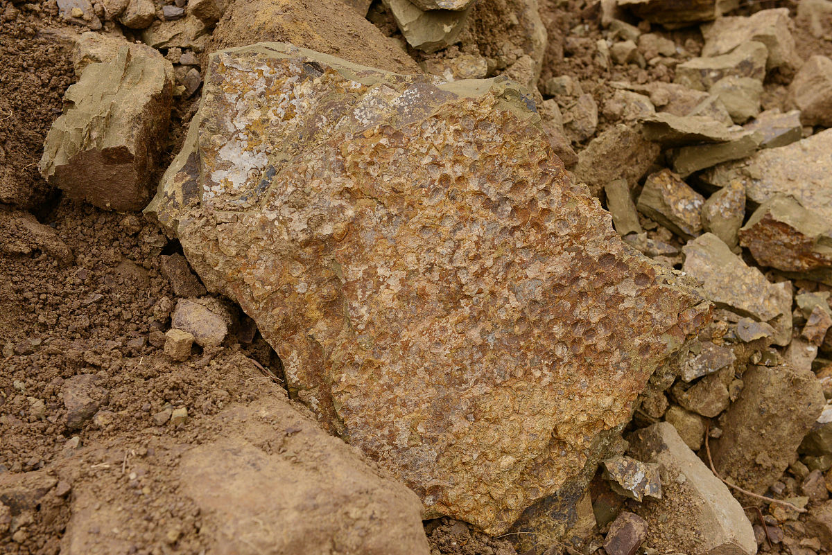 湖南黄金：目前公司锑锭的最高纯度可达99.9%