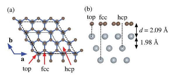 登康口腔获得发明专利授权：“一种氟协同没食子酸稳定的无定型磷酸钙纳米簇仿生矿化牙釉质的方法”