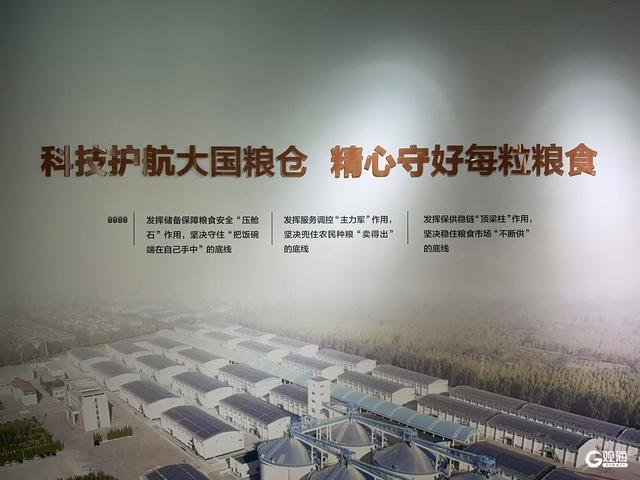 夏粮收购忙，新麦质优价稳 全国现存粮食相关企业超23.5万家