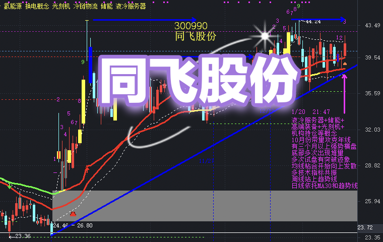 从价格内卷到价值深耕：618大促背后的产业革新与消费重构