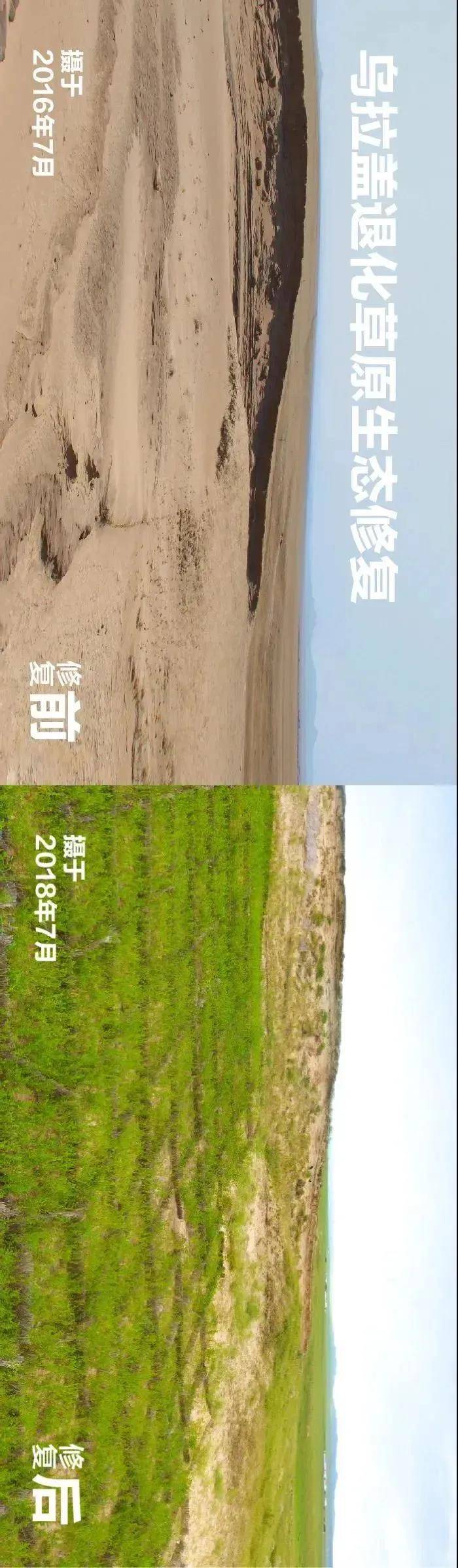 蒙草生态获得发明专利授权：“一种免养护高成活矩阵种子沙障及其使用方法和应用”