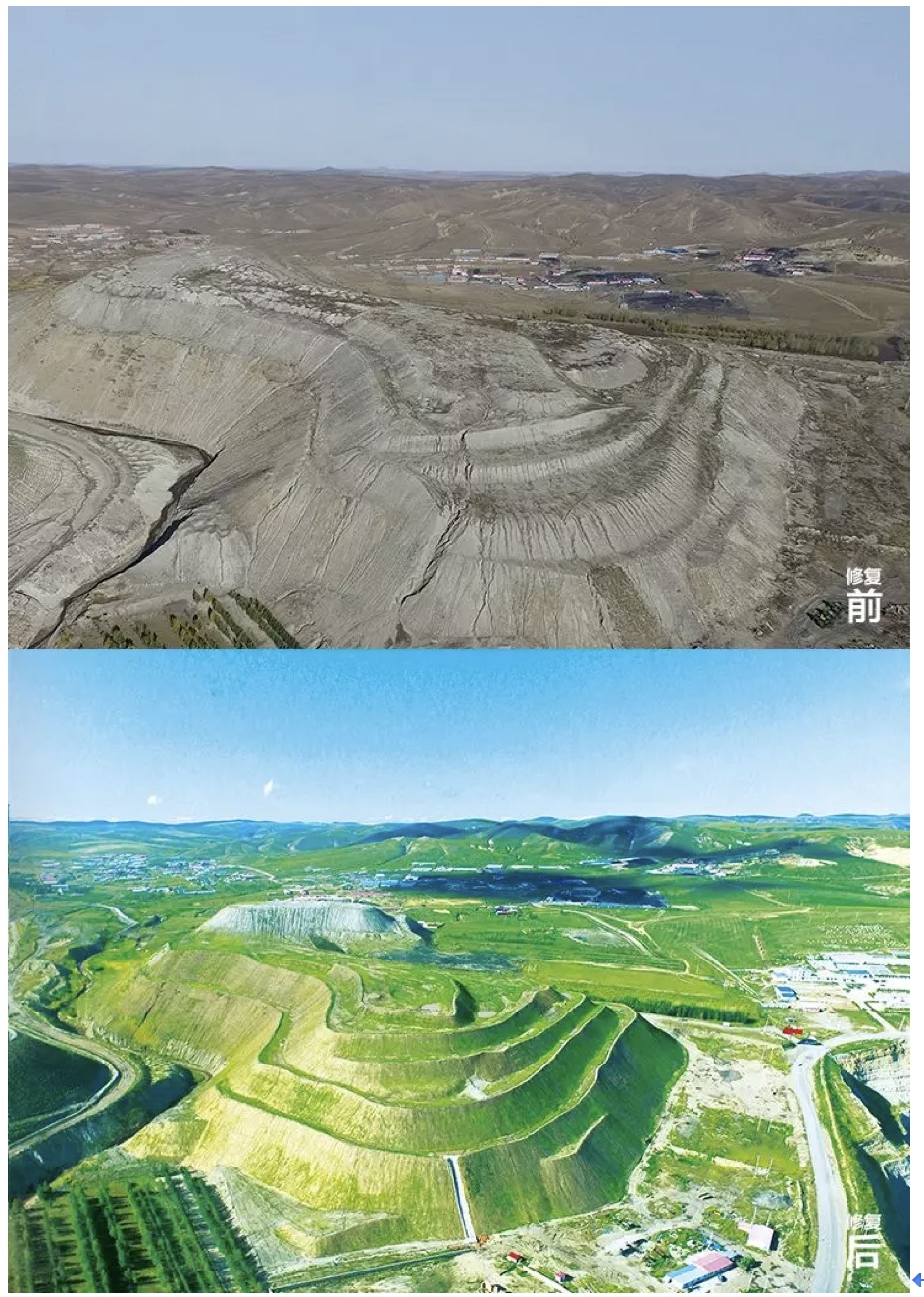 蒙草生态：公司未参与雅江水电站环境治理项目