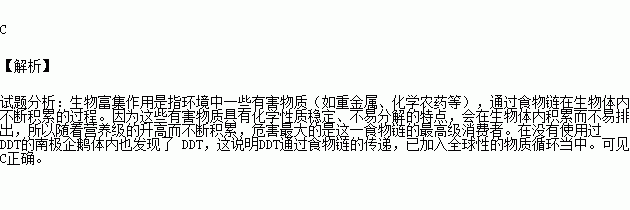 新研究显示南极海域食物网基础发生重大变化
