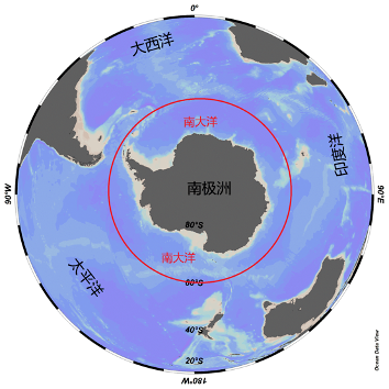 新研究显示南极海域食物网基础发生重大变化
