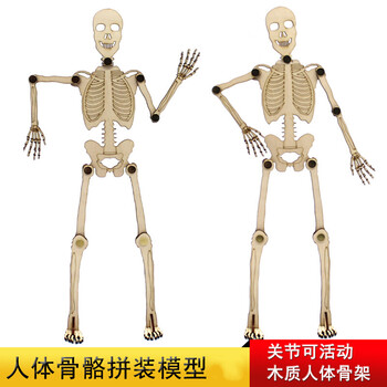 奥比中光获得发明专利授权：“一种人体骨架标注方法、装置及电子设备”