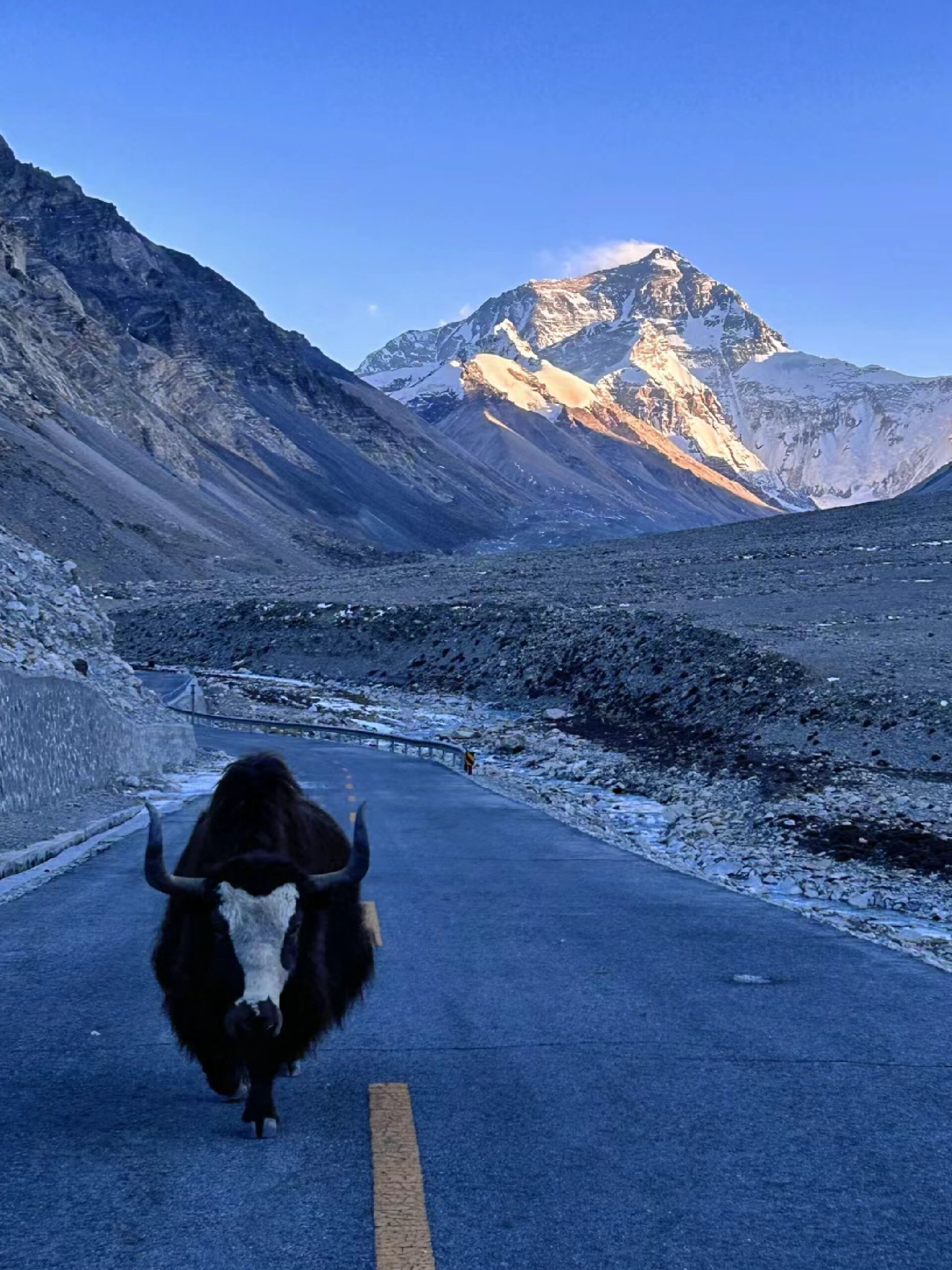 西藏珠峰：截至7月31日股东总户数109,966户