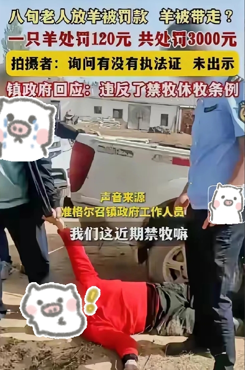 太平石化金租因员工行为管理严重违反审慎经营规则被罚25万元 相关责任人被禁业十年