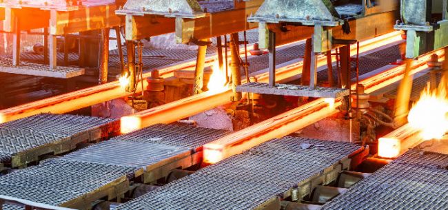 神农集团2024年净利润同比增长271%，养殖成本持续下降