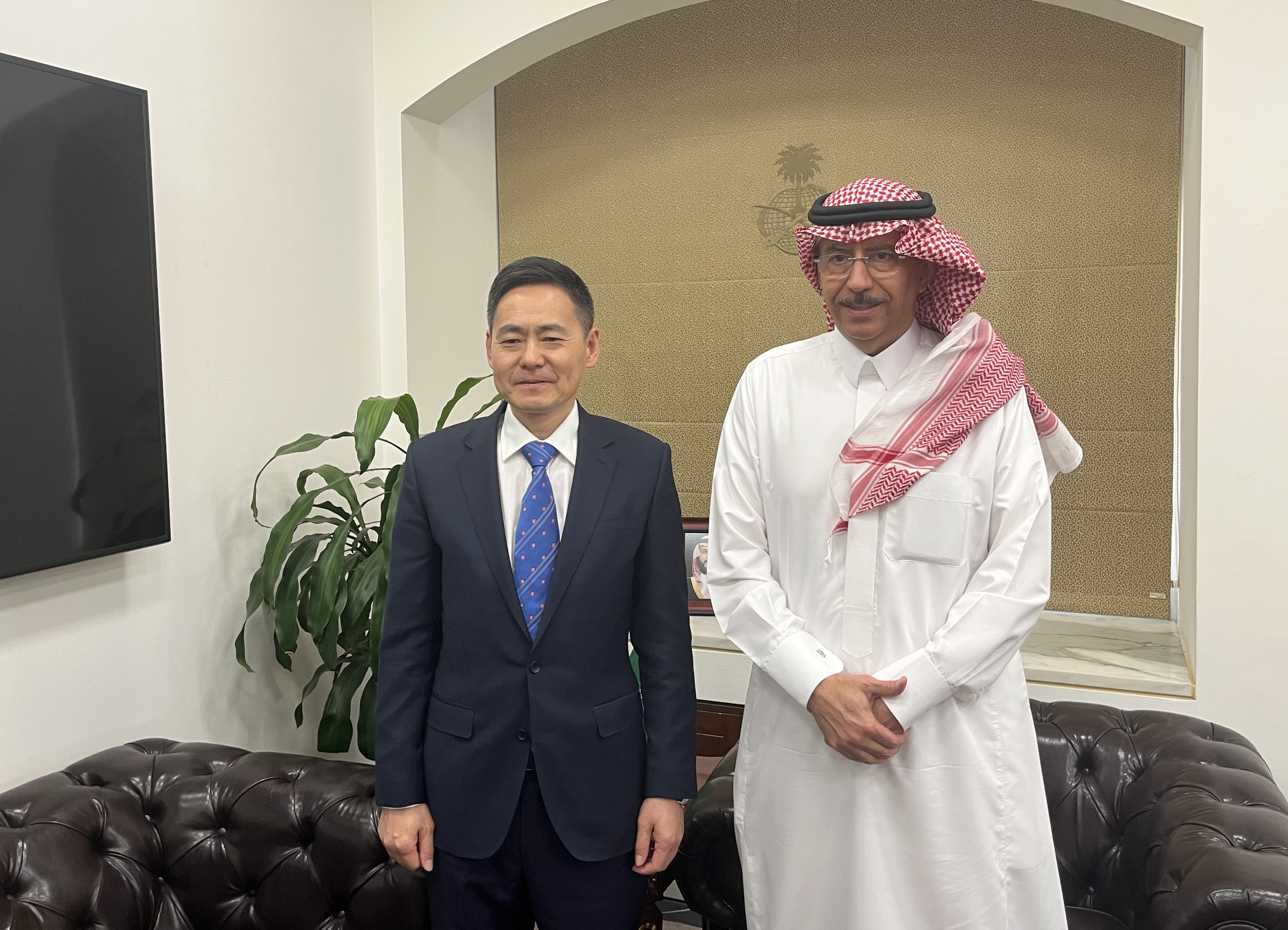 沙特经济和计划副大臣率团访问科摩罗