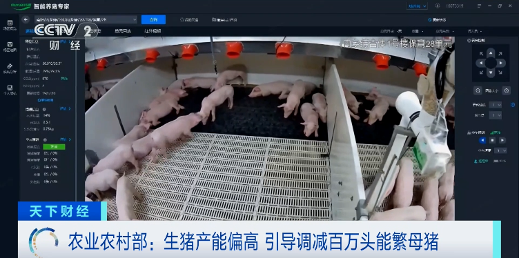 三大猪企一季度同比均实现扭亏为盈，营收同比均实现增长