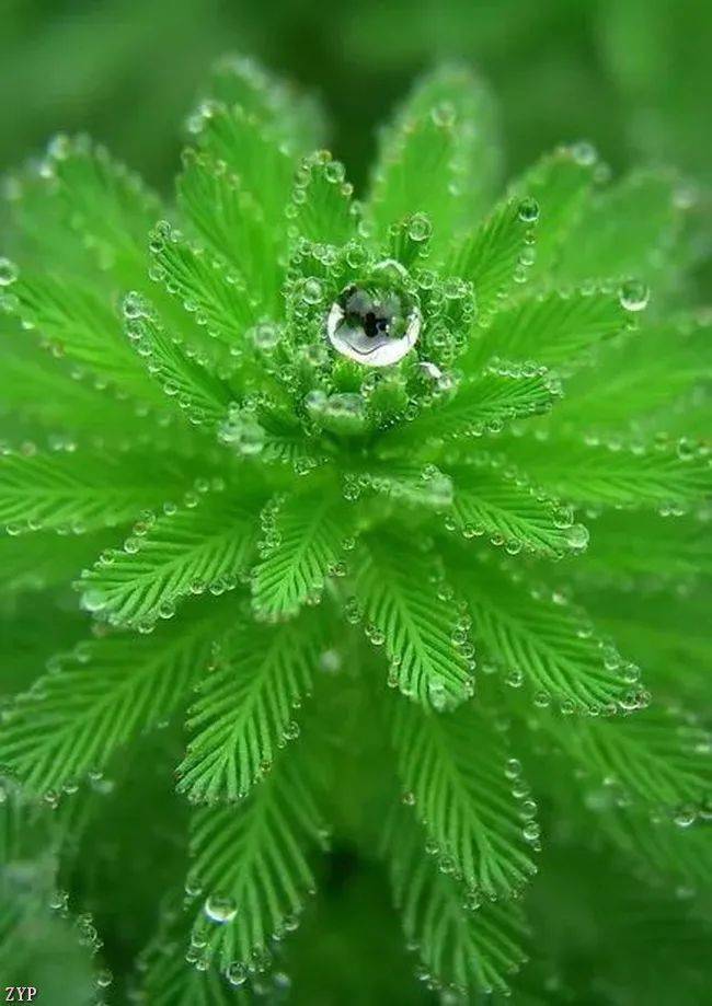 助力经济社会逐“绿”而行 16省市试点绿色外债业务