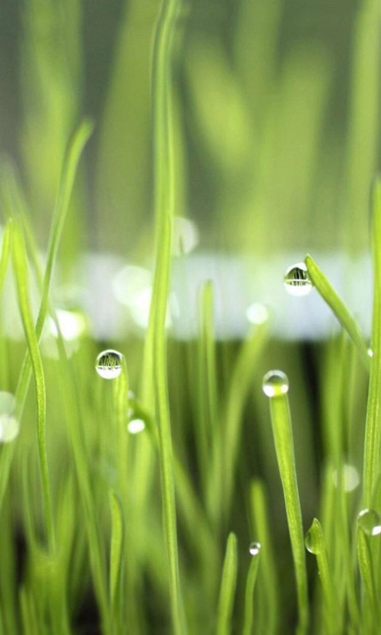 助力经济社会逐“绿”而行 16省市试点绿色外债业务