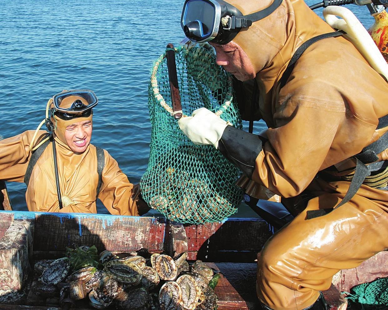 内阁批准艾因・加扎勒污水处理厂扩建项目