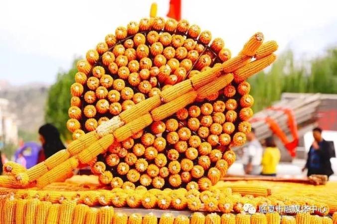 大商所组织召开2025年“农民收入保障计划” 业务推进会