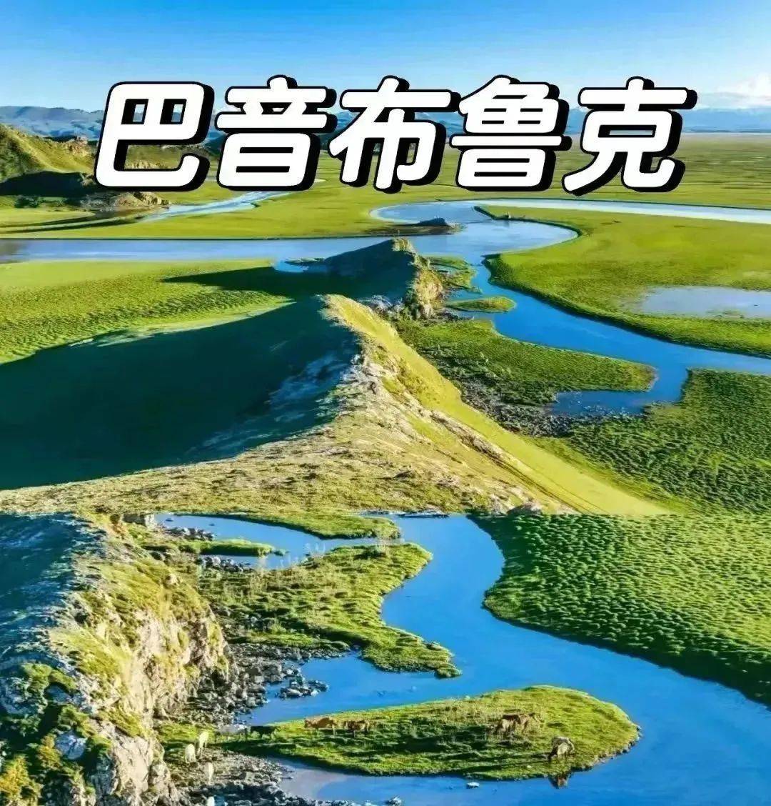 2025年前7个月蒙古家庭月平均现金收入同比增长7.1%