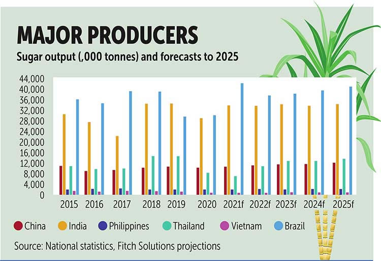 2025年巴西农作物产量预计创纪录