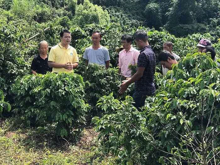 未来三年再捐240万 星巴克基金会加码支持“心青年”融合就业