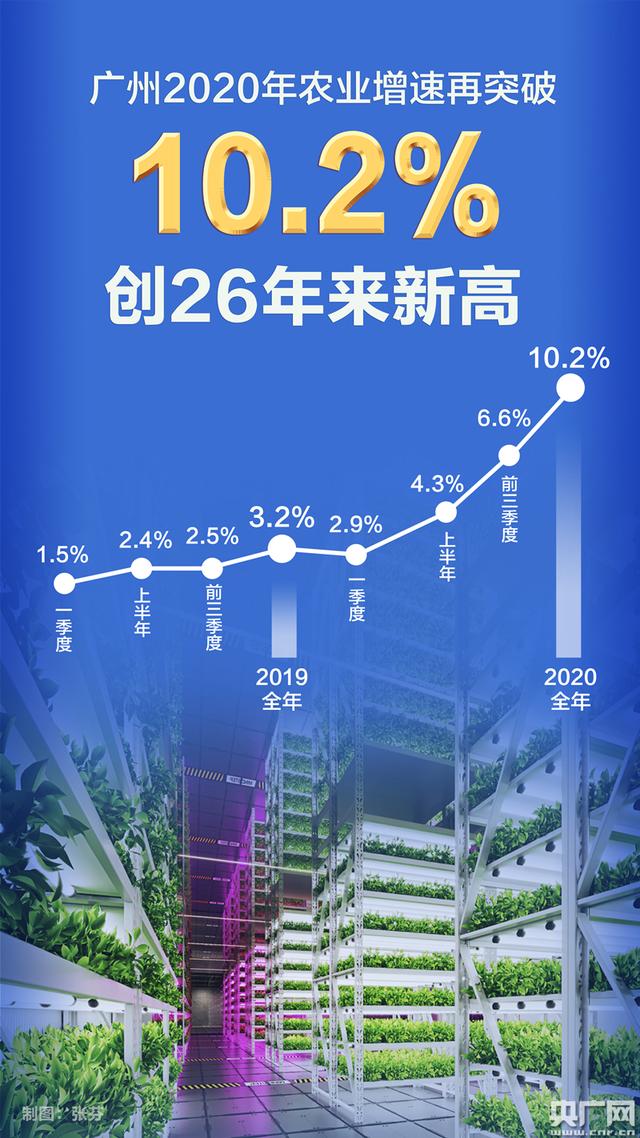 7月财政收入增速创年内新高 专家：彰显当前经济运行“底色”
