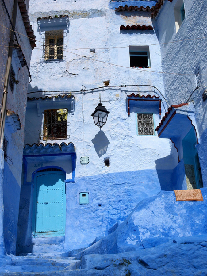 摩洛哥推动海藻养殖发展蓝色经济