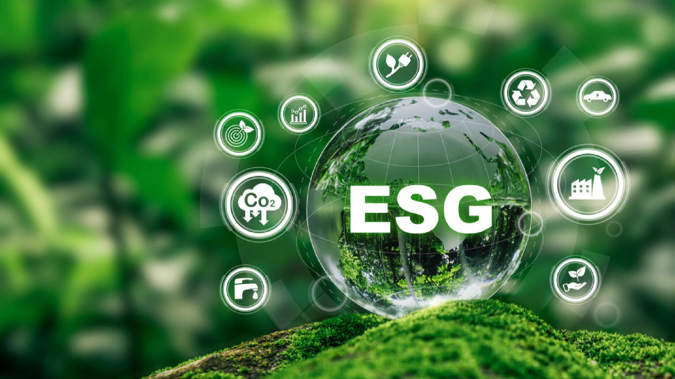 【ESG动态】海容冷链（603187.SH）获华证指数ESG最新评级B，行业排名第56