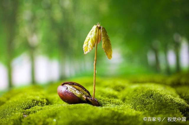 人民银行：绿色债券年度发行规模持续保持在6000亿元以上