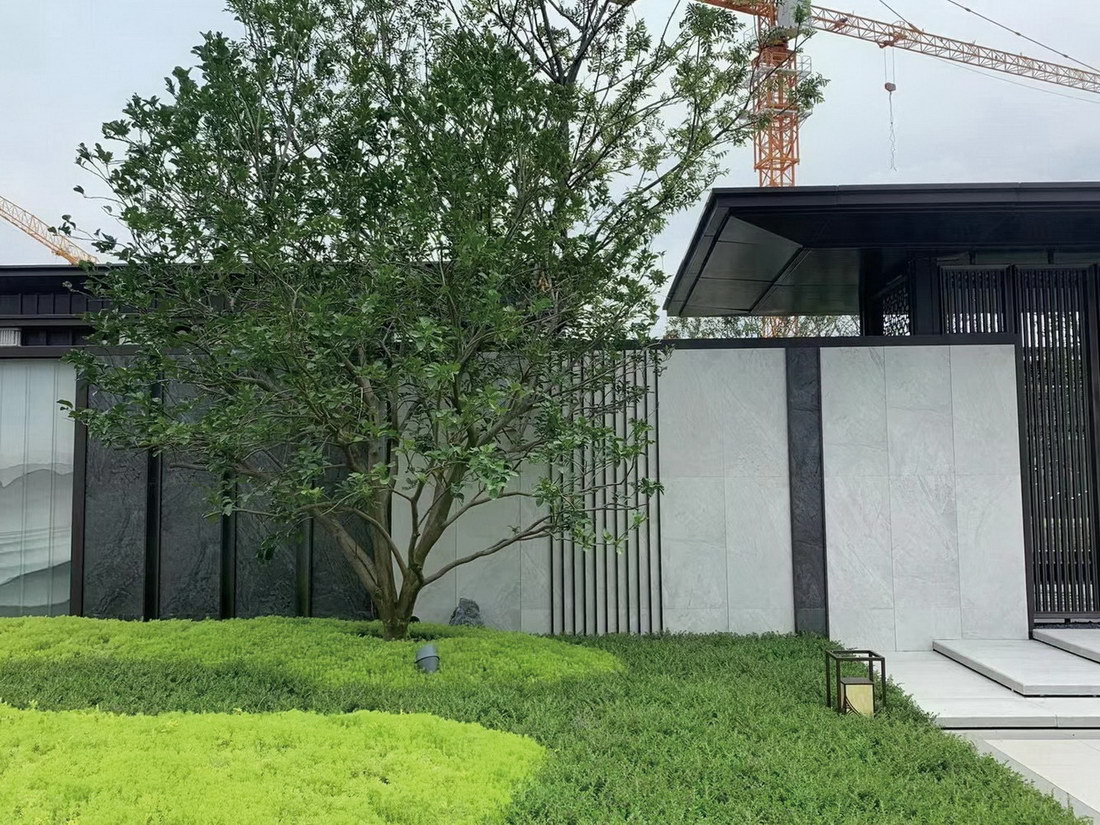 尼罗州拟新建工业城