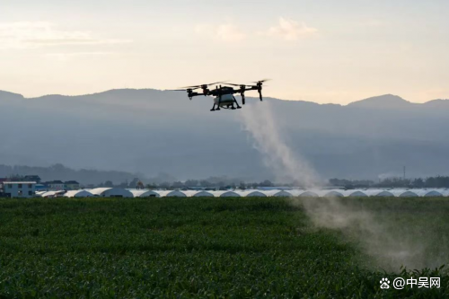 机器人采摘无人机运送 科技绘就农业丰收新图景