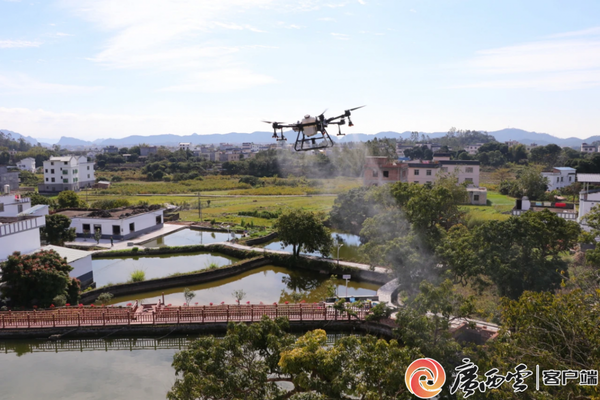 机器人采摘无人机运送 科技绘就农业丰收新图景