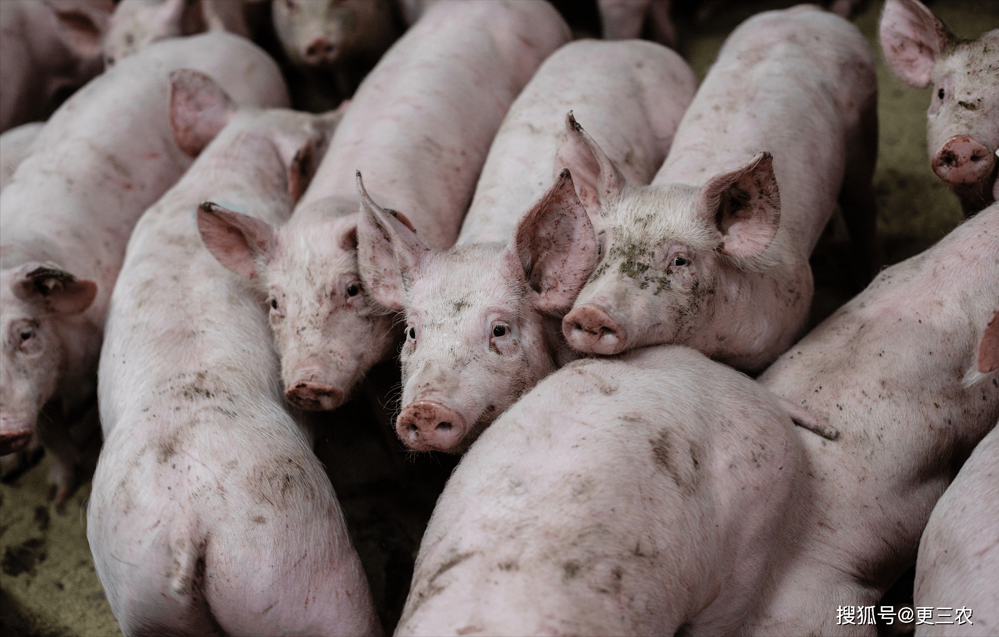 马达加斯加外汇储备呈现增长趋势