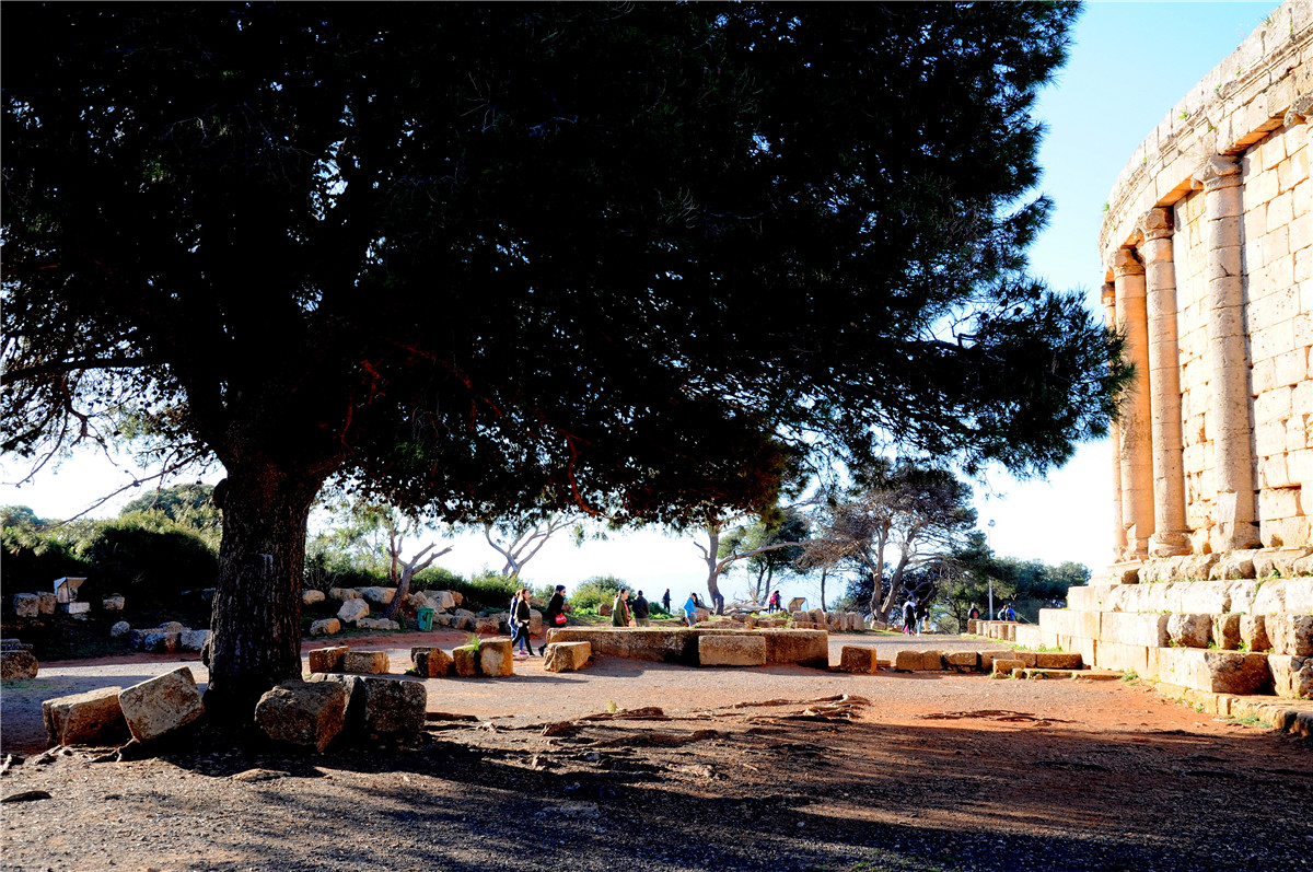 唐中东大使会见新任毛里塔尼亚畜牧业部长