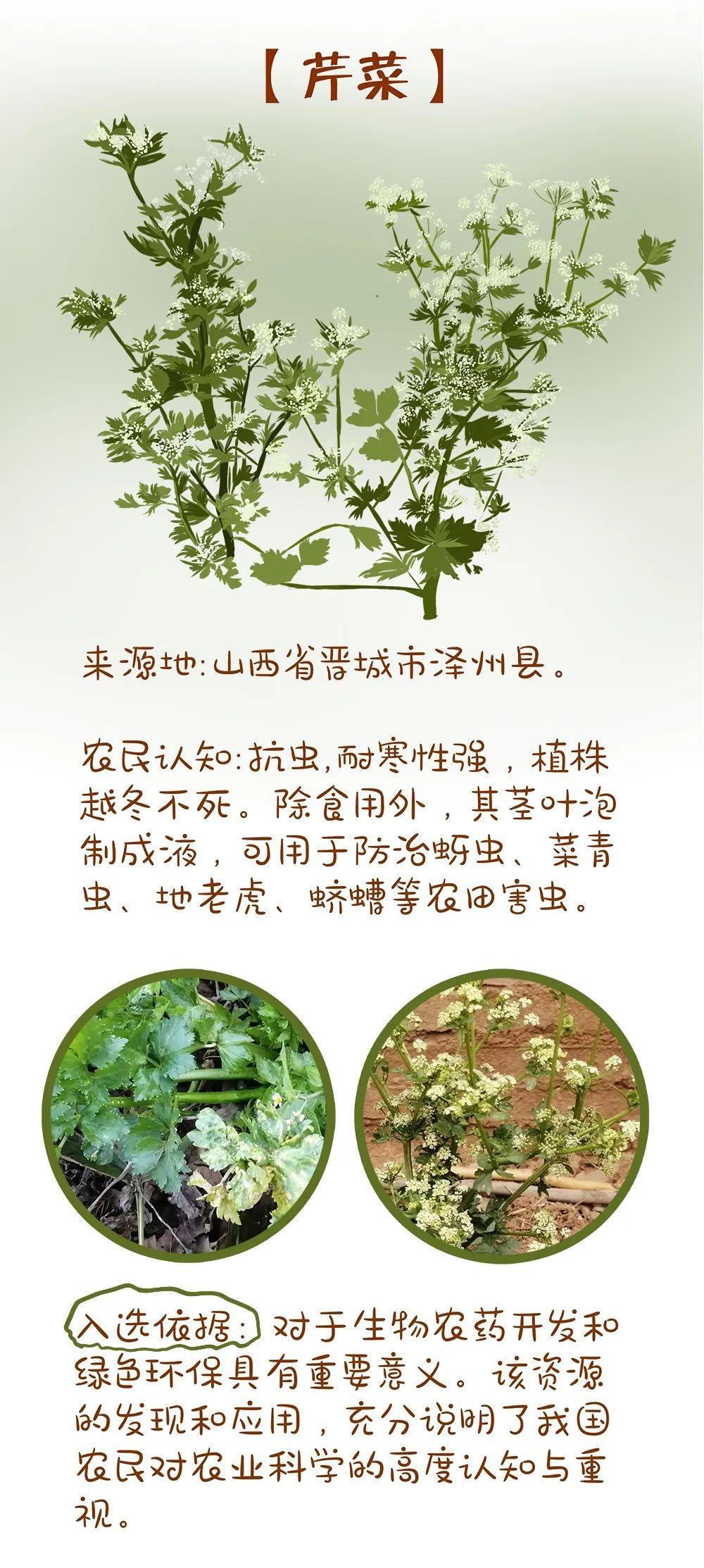 我国首部系统展示果树种质资源多样性与创新利用成果丛书发布