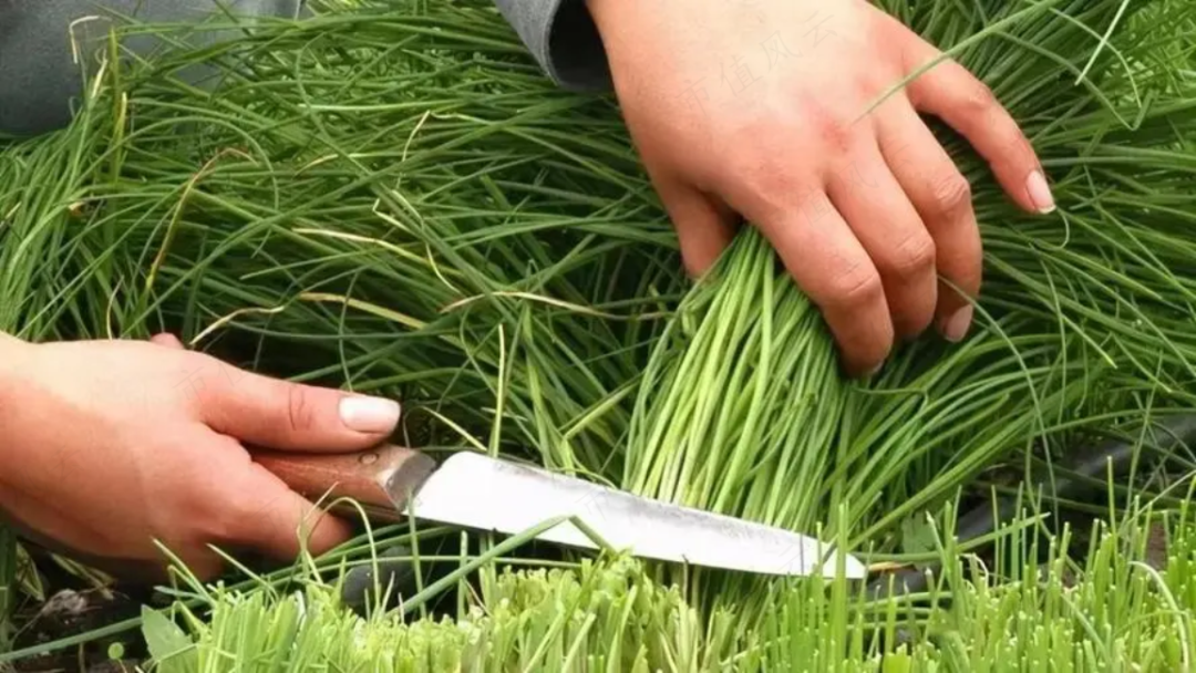 赣锋锂业发行7.1亿元绿色短期融资券