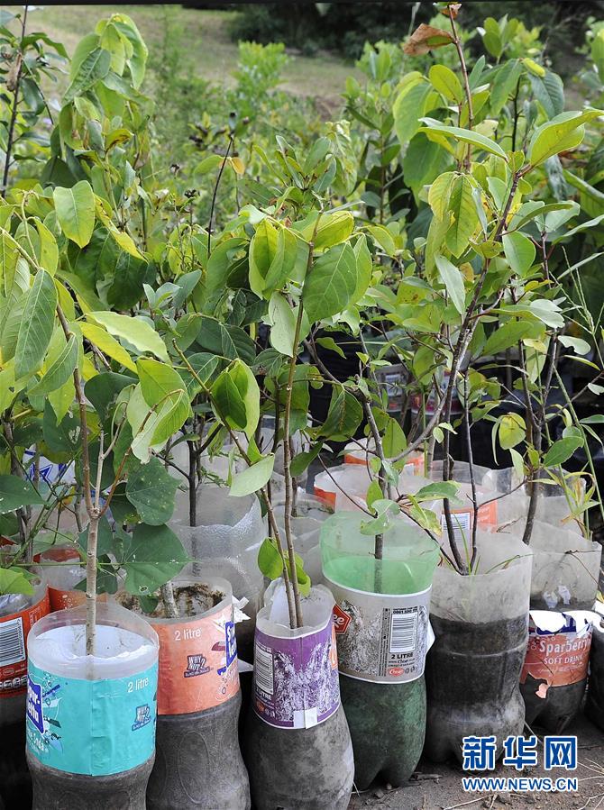 泰国携手东盟4国和AZEC发展绿色金融