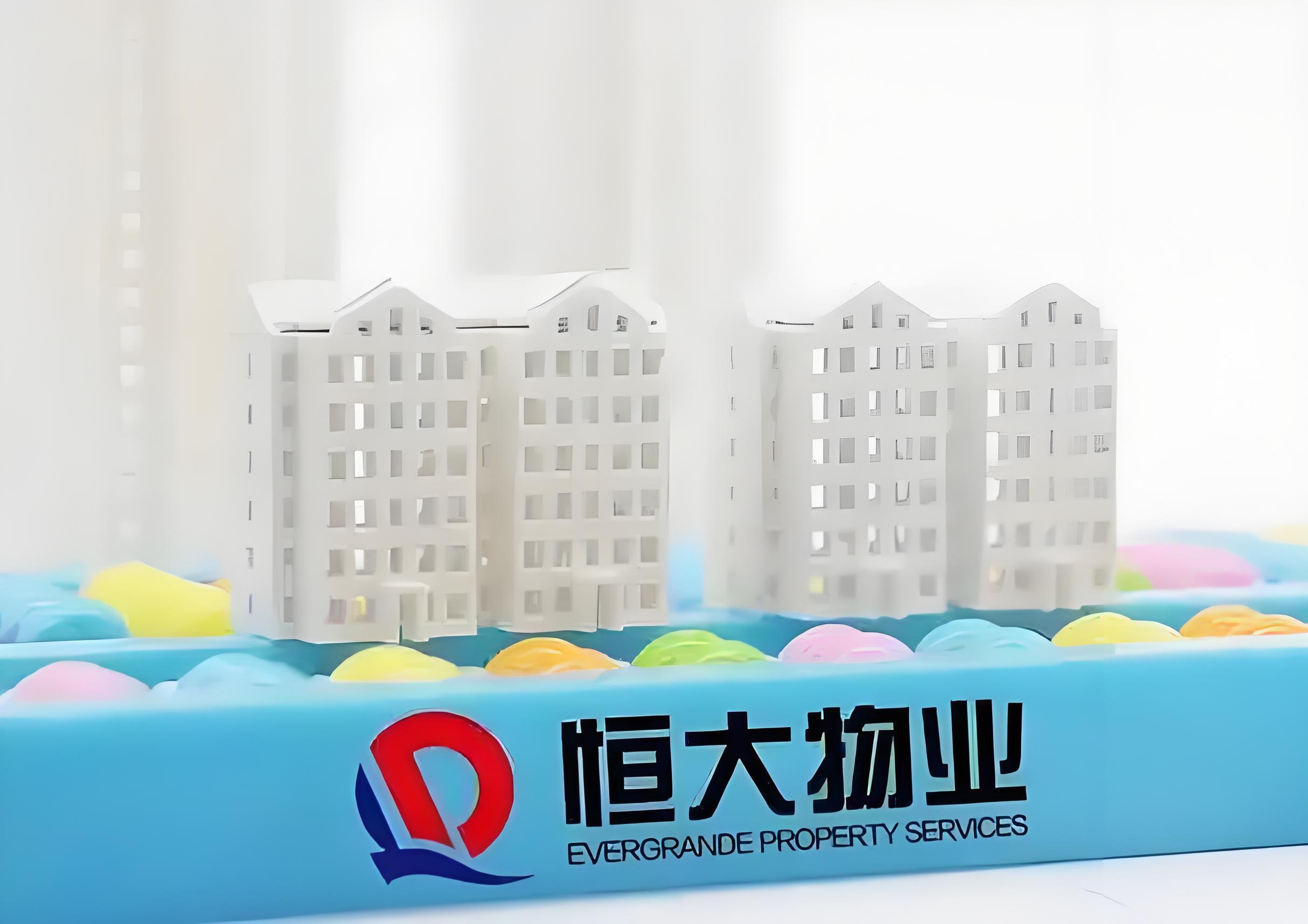 胜利股份(000407.SZ)：公司股票将于11月11日起复牌