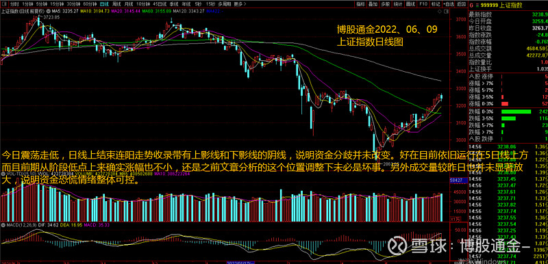 上海调整商业性个人住房贷款利率定价机制；老铺黄金年内再次调价 | 金融早参