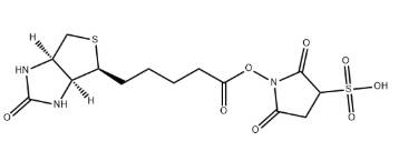 九强生物获得发明专利授权：“偶联物的制备方法”