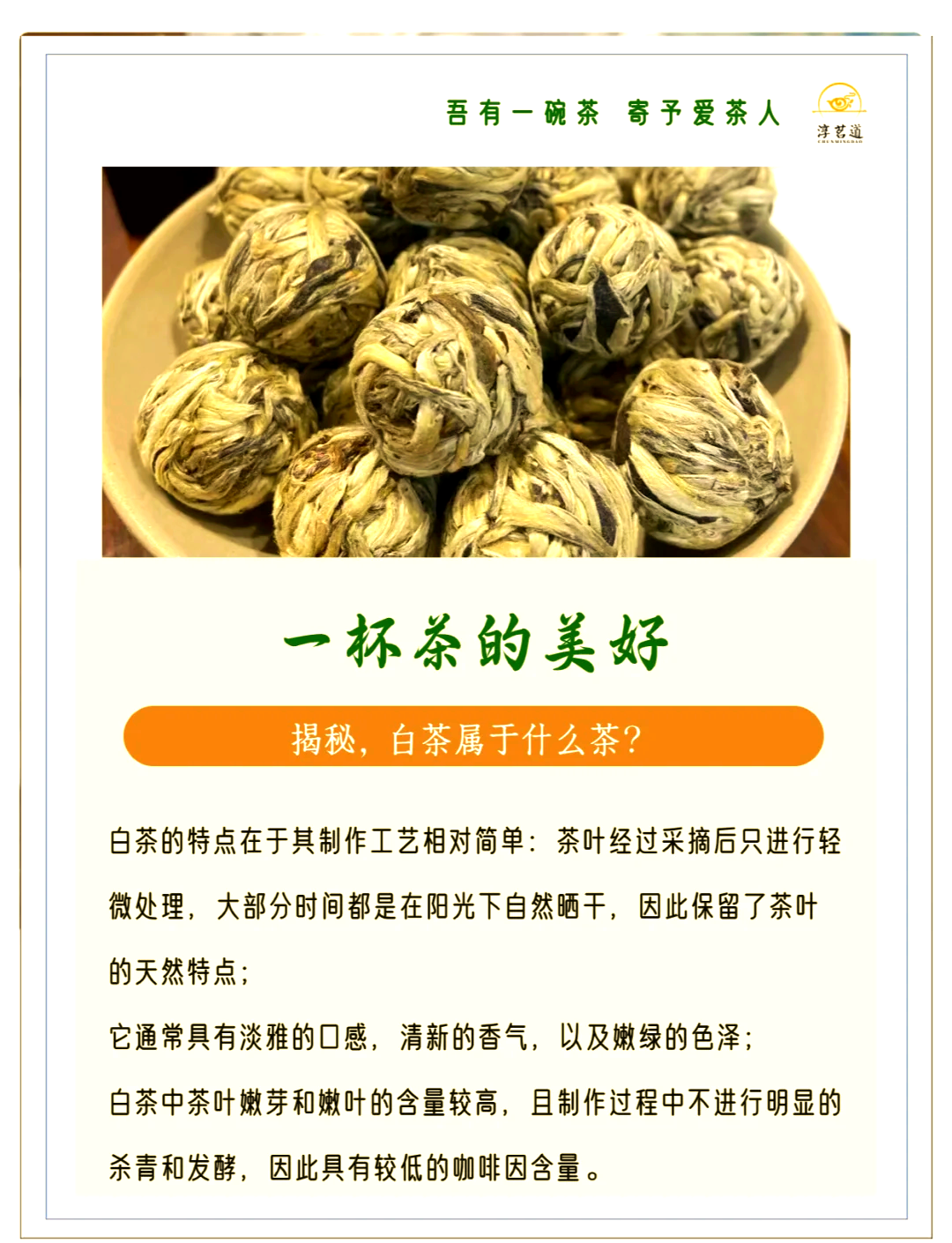 白茶之乡的文旅“蝶变”，全国现存茶叶相关企业超163.5万家